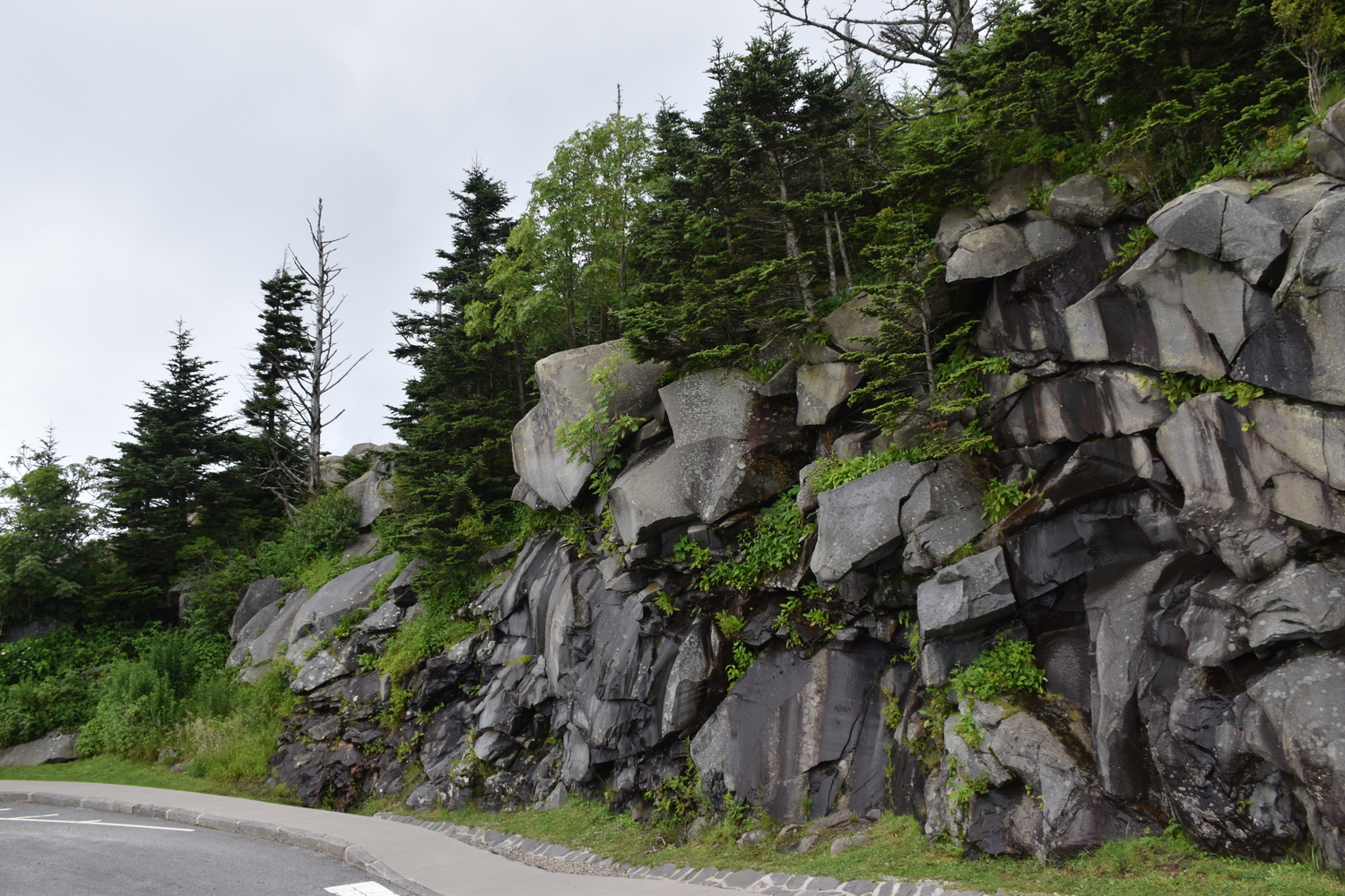 Clingman's Dome - Rock wall near trailhead